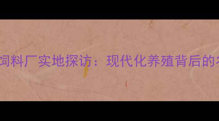 图片 🌟江西赣州正大饲料厂实地探访：现代化养殖背后的农业科技密码🔑1