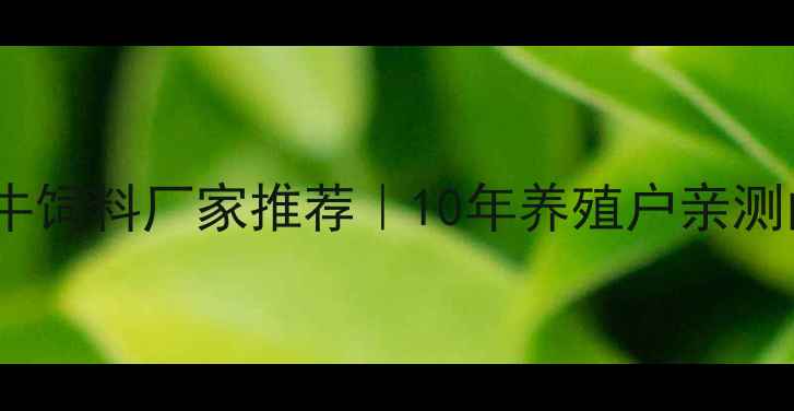 图片 🌟沈阳优质肉牛饲料厂家推荐｜10年养殖户亲测的选粮指南💡2