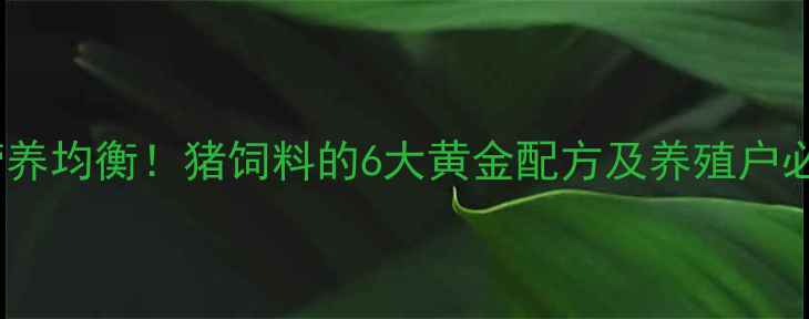 图片 🌟科学配比+营养均衡！猪饲料的6大黄金配方及养殖户必看喂养指南🌟