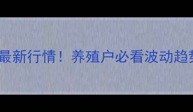 图片 🌟襄阳生猪价格最新行情！养殖户必看波动趋势+应对指南🐷💰