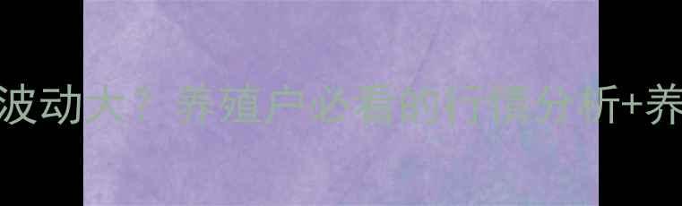 图片 🌟辽宁子猪价格波动大？养殖户必看的行情分析+养殖技巧全攻略🌟