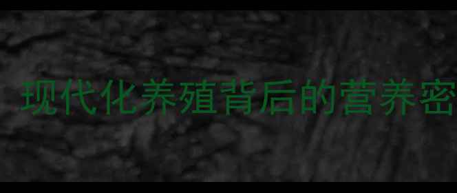 图片 🌟饲料厂深度探访：现代化养殖背后的营养密码，养殖户必看！2