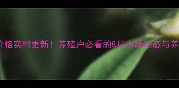 图片 🌟驻马店生猪价格实时更新！养殖户必看的8月市场动态与养殖避坑指南🐷2