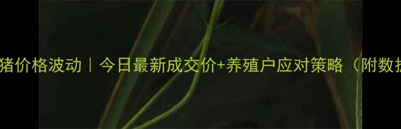 图片 🌟黑山生猪价格波动｜今日最新成交价+养殖户应对策略（附数据图表）1