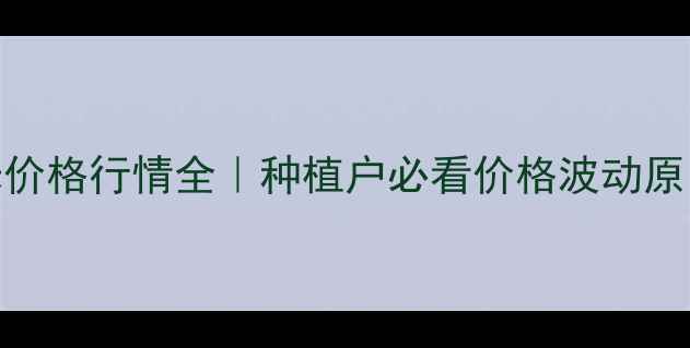 图片 🌰9月山东花生米价格行情全｜种植户必看价格波动原因+未来趋势预测