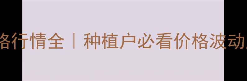 图片 🌰9月山东花生米价格行情全｜种植户必看价格波动原因+未来趋势预测1