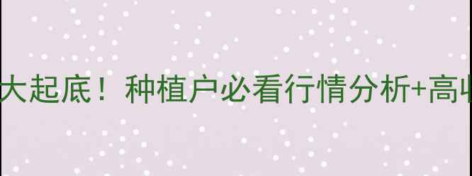 图片 🌰花生价格大起底！种植户必看行情分析+高收益攻略🌾2