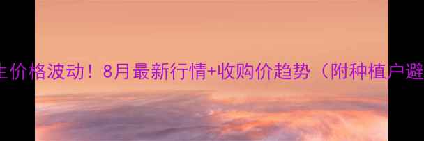 图片 🌰黄路镇花生价格波动！8月最新行情+收购价趋势（附种植户避坑指南）🌰1