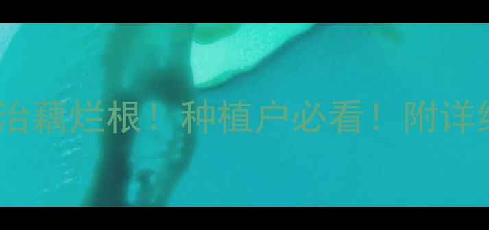 图片 🌱3种农药专治藕烂根！种植户必看！附详细使用教程🌱