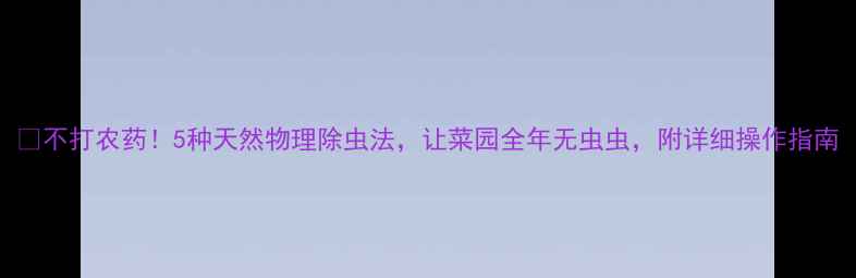 图片 🌱不打农药！5种天然物理除虫法，让菜园全年无虫虫，附详细操作指南