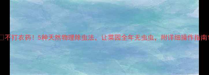 图片 🌱不打农药！5种天然物理除虫法，让菜园全年无虫虫，附详细操作指南1