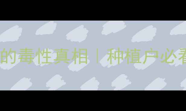 图片 🌱农药井冈霉素的毒性真相｜种植户必看安全使用指南1