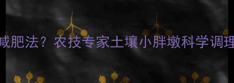 图片 🌱农药减肥法？农技专家土壤小胖墩科学调理指南🌾
