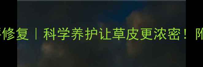 图片 🌱农药喷施+草坪修复｜科学养护让草皮更浓密！附喷药全流程图解