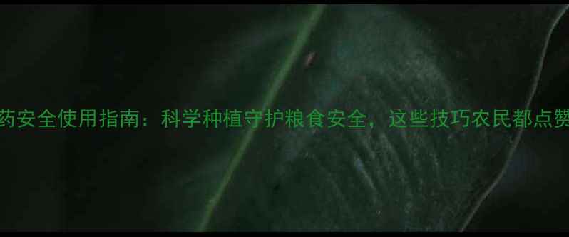 图片 🌱农药安全使用指南：科学种植守护粮食安全，这些技巧农民都点赞！🌾