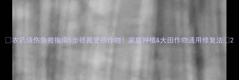 图片 🌱农药烧伤急救指南5步拯救受损作物！家庭种植&大田作物通用修复法🌾2