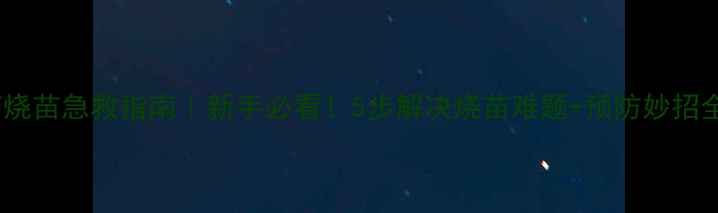 图片 🌱农药烧苗急救指南｜新手必看！5步解决烧苗难题+预防妙招全公开1
