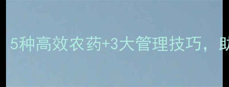 图片 🌱半夏出苗期必看！5种高效农药+3大管理技巧，助你苗齐苗壮不生病
