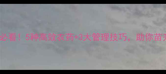 图片 🌱半夏出苗期必看！5种高效农药+3大管理技巧，助你苗齐苗壮不生病1