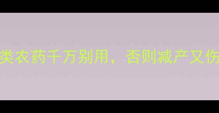 图片 🌱南瓜种植必看！这5类农药千万别用，否则减产又伤根！附安全用药指南2