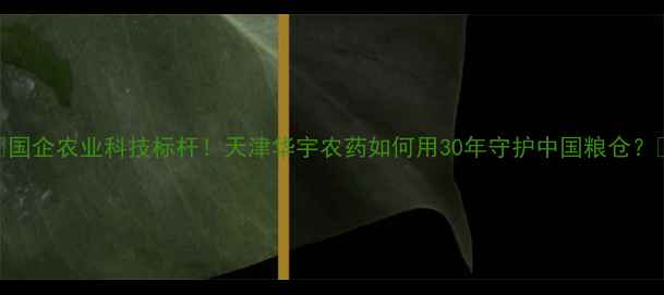图片 🌱国企农业科技标杆！天津华宇农药如何用30年守护中国粮仓？🌾