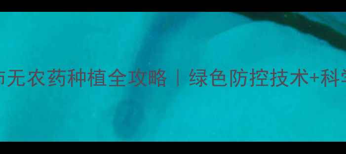 图片 🌱大棚西红柿无农药种植全攻略｜绿色防控技术+科学管理指南💡