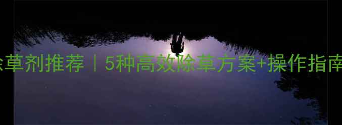 图片 🌱大蒜春季除草剂推荐｜5种高效除草方案+操作指南（附配比）1