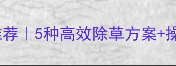 图片 🌱大蒜春季除草剂推荐｜5种高效除草方案+操作指南（附配比）2
