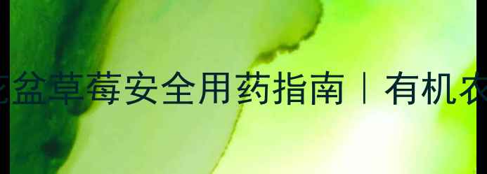 图片 🌱家庭种植必看！花盆草莓安全用药指南｜有机农药+物理防治全攻略