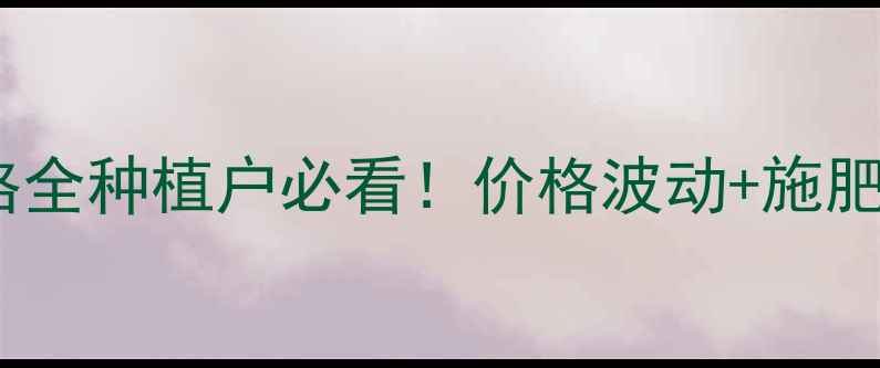 图片 🌱山西中农化普德金价格全种植户必看！价格波动+施肥技巧+使用禁忌大公开🌾