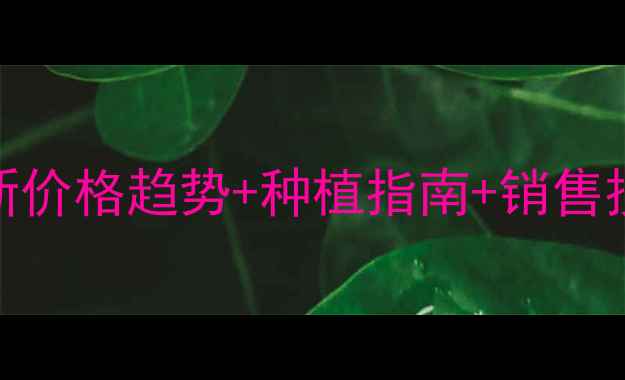 图片 🌱干油豆价格行情｜最新价格趋势+种植指南+销售技巧（附种植补贴政策）