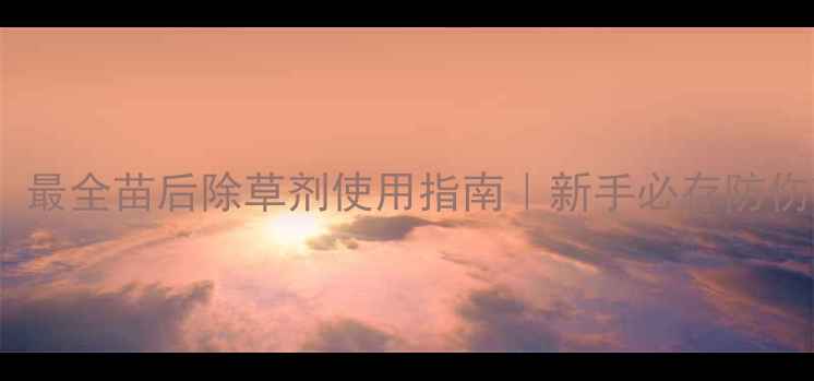 图片 🌱必看！最全苗后除草剂使用指南｜新手必存防伤苗技巧2