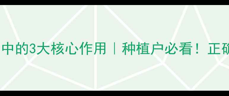 图片 🌱拉开粉在农药使用中的3大核心作用｜种植户必看！正确搭配农药避免药害1