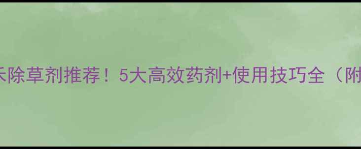 图片 🌱春季小麦禾除草剂推荐！5大高效药剂+使用技巧全（附防除指南）1