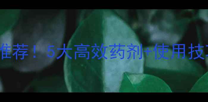 图片 🌱春季小麦禾除草剂推荐！5大高效药剂+使用技巧全（附防除指南）2