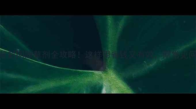 图片 🌱最新芽前封闭除草剂全攻略！这样用省钱又有效，附常见问题解答🌾