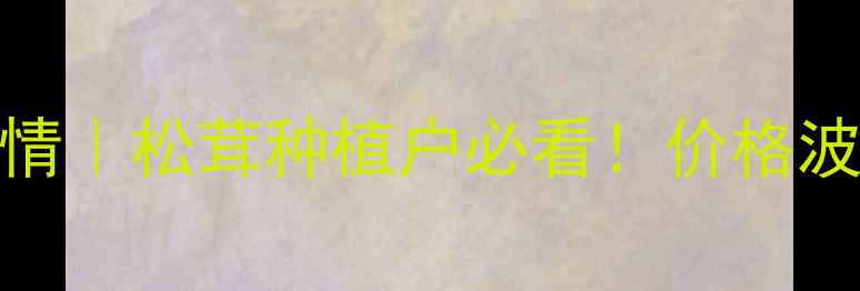 图片 🌱松蓉价格最新行情｜松茸种植户必看！价格波动+种植技巧全🔥2