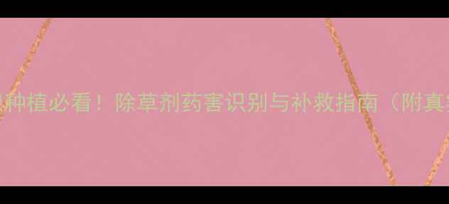 图片 🌱板蓝根种植必看！除草剂药害识别与补救指南（附真实案例）