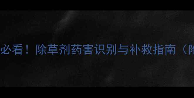 图片 🌱板蓝根种植必看！除草剂药害识别与补救指南（附真实案例）1