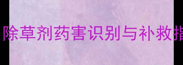 图片 🌱板蓝根种植必看！除草剂药害识别与补救指南（附真实案例）2
