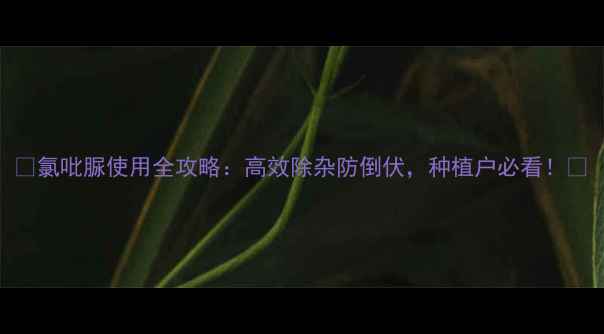 图片 🌱氯吡脲使用全攻略：高效除杂防倒伏，种植户必看！🌱
