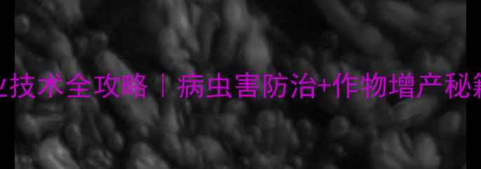 图片 🌱河南博爱农药店农业技术全攻略｜病虫害防治+作物增产秘籍（附店铺服务清单）