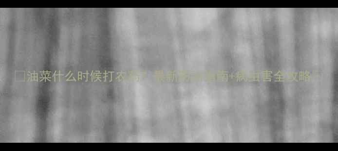 图片 🌱油菜什么时候打农药？最新防治指南+病虫害全攻略🌾