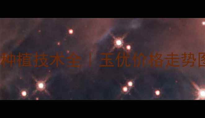 图片 🌱爱玉优最新价格+种植技术全｜玉优价格走势图+市场前景预测💰2