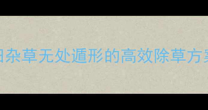 图片 🌱牛繁缕除草剂：让农田杂草无处遁形的高效除草方案（附种植户实测攻略）