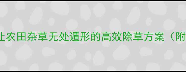 图片 🌱牛繁缕除草剂：让农田杂草无处遁形的高效除草方案（附种植户实测攻略）1
