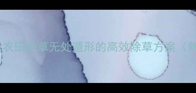 图片 🌱牛繁缕除草剂：让农田杂草无处遁形的高效除草方案（附种植户实测攻略）2