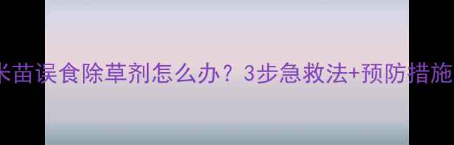 图片 🌱玉米苗误食除草剂怎么办？3步急救法+预防措施全🌱1