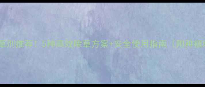 图片 🌱甘蓝除草剂推荐！5种高效除草方案+安全使用指南（附种植时间表）1