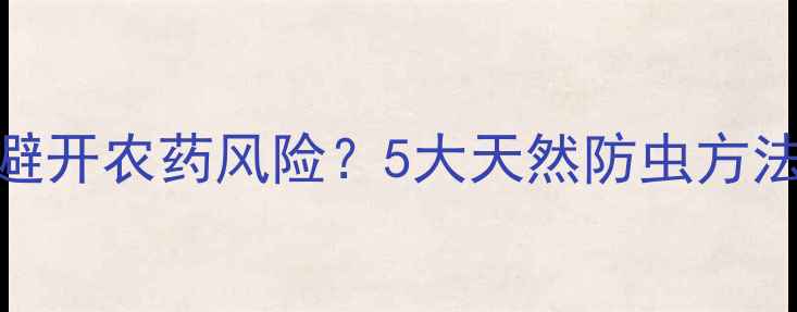 图片 🌱甜瓜种植如何避开农药风险？5大天然防虫方法让甜瓜更健康🍈